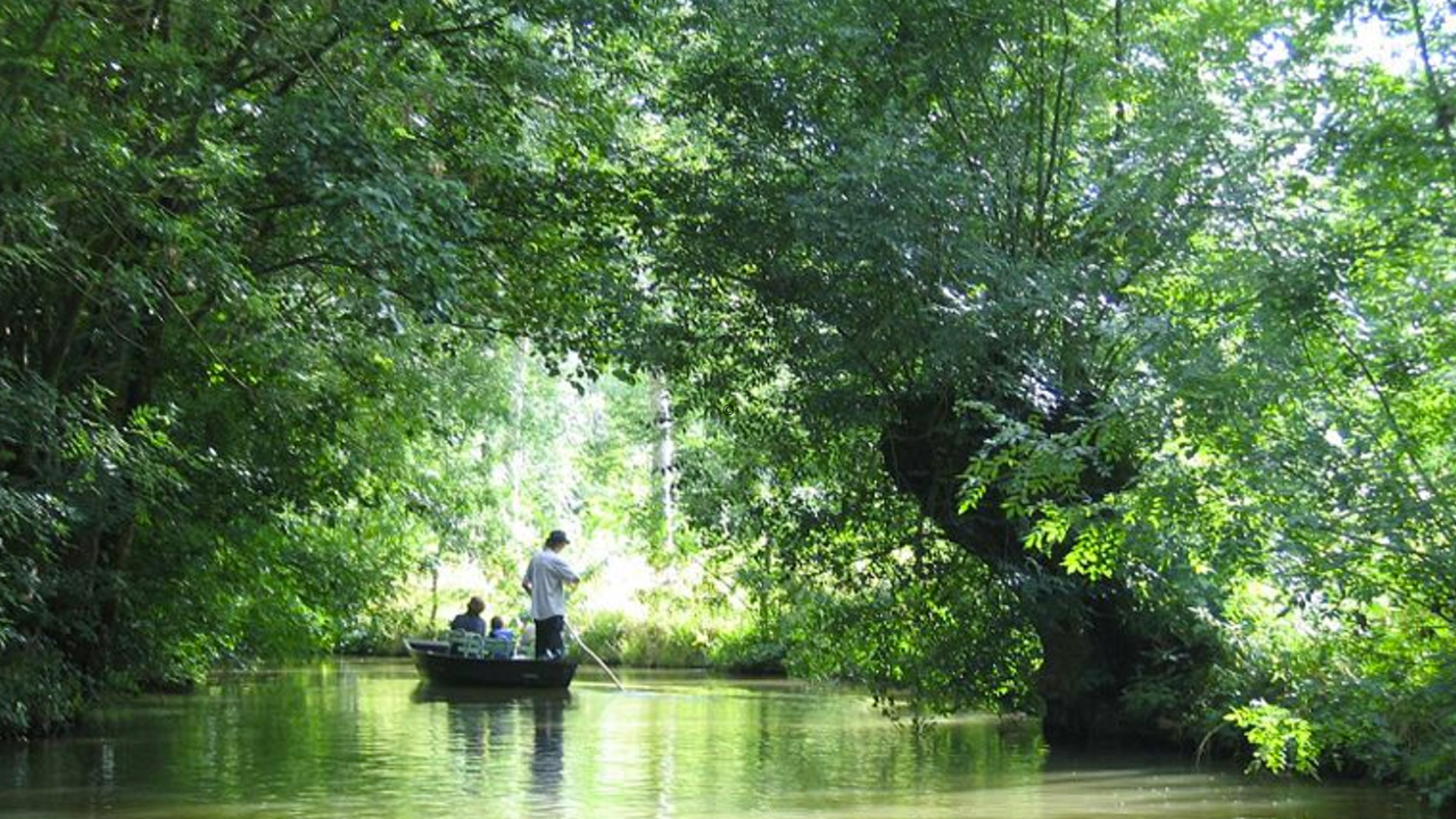 Image du jeu Nature